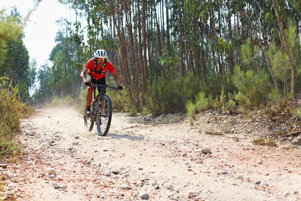 Alcobaca Forest Bike Trail.
