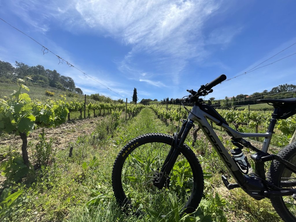 e-bike on the wine garden.