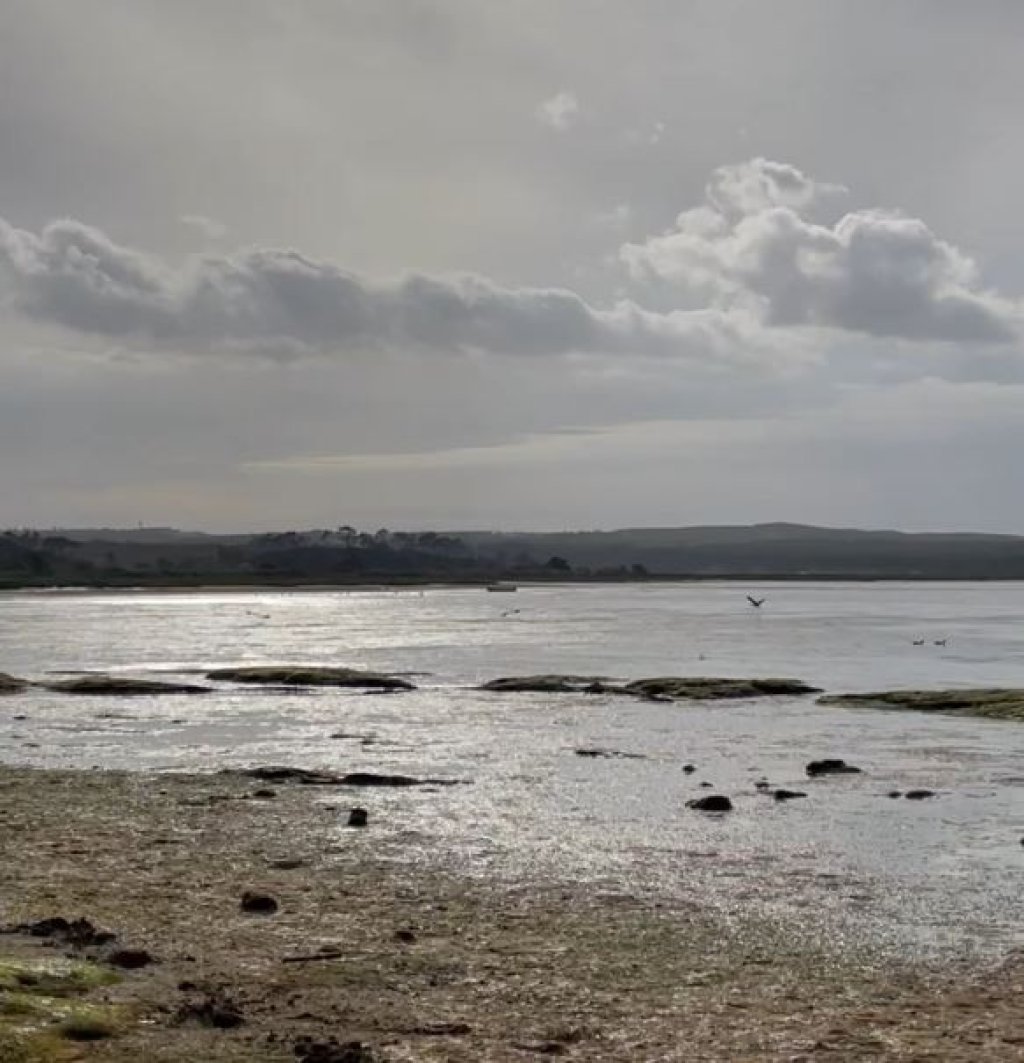 Óbidos Lagoon Birdwatching E-Bike Tour from Foz do Arelho.