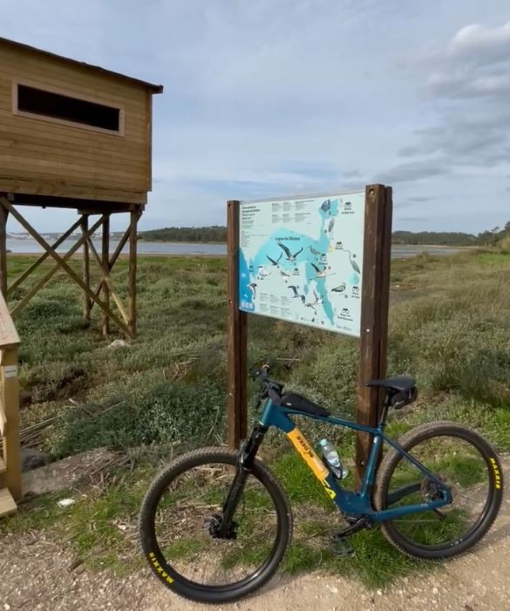 Óbidos Lagoon Birdwatching E-Bike Tour from Foz do Arelho.