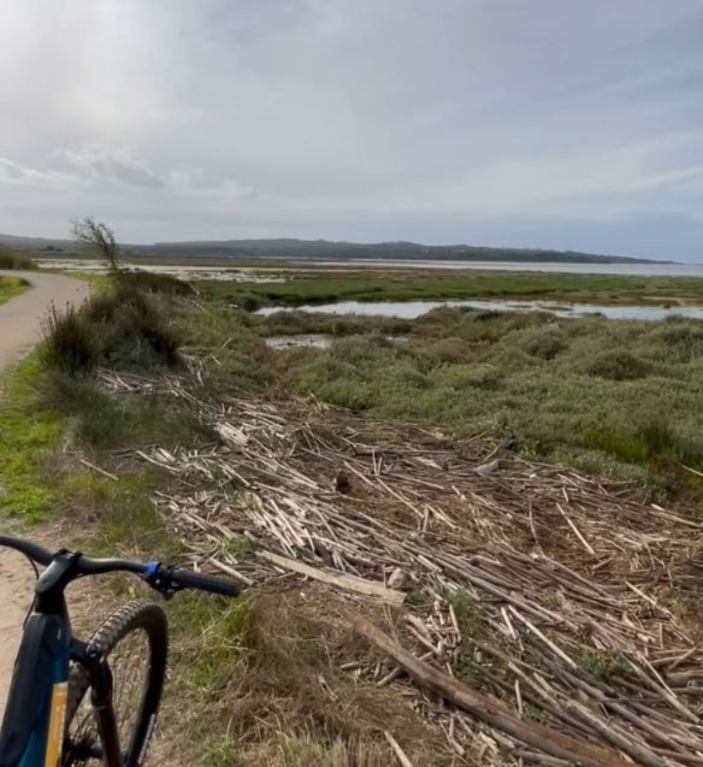 Óbidos Lagoon Birdwatching E-Bike Tour from Foz do Arelho.