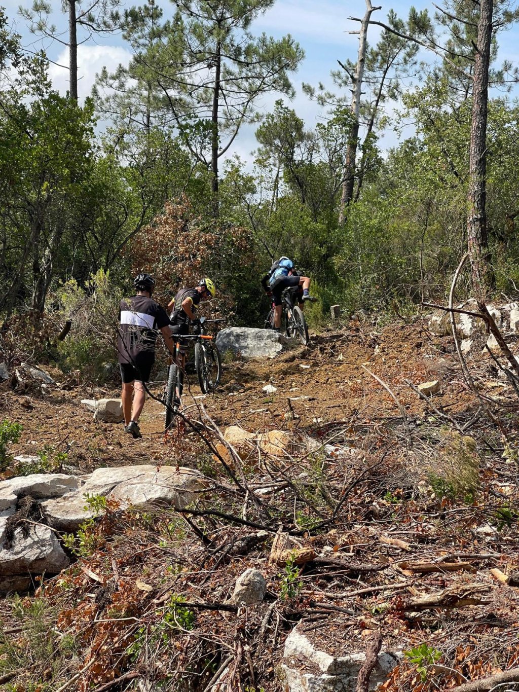 Ancient Olive Groves MTB and E-MTB Climb: Nazaré to Santa Rita de Cós.