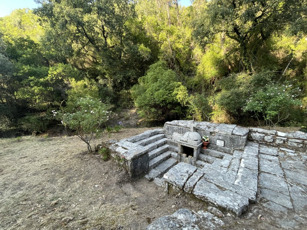 Ancient Olive Groves MTB and E-MTB Climb: Nazaré to Santa Rita de Cós.