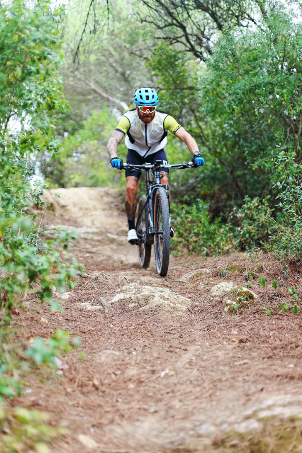 Ancient Olive Groves MTB and E-MTB Climb: Nazaré to Santa Rita de Cós.