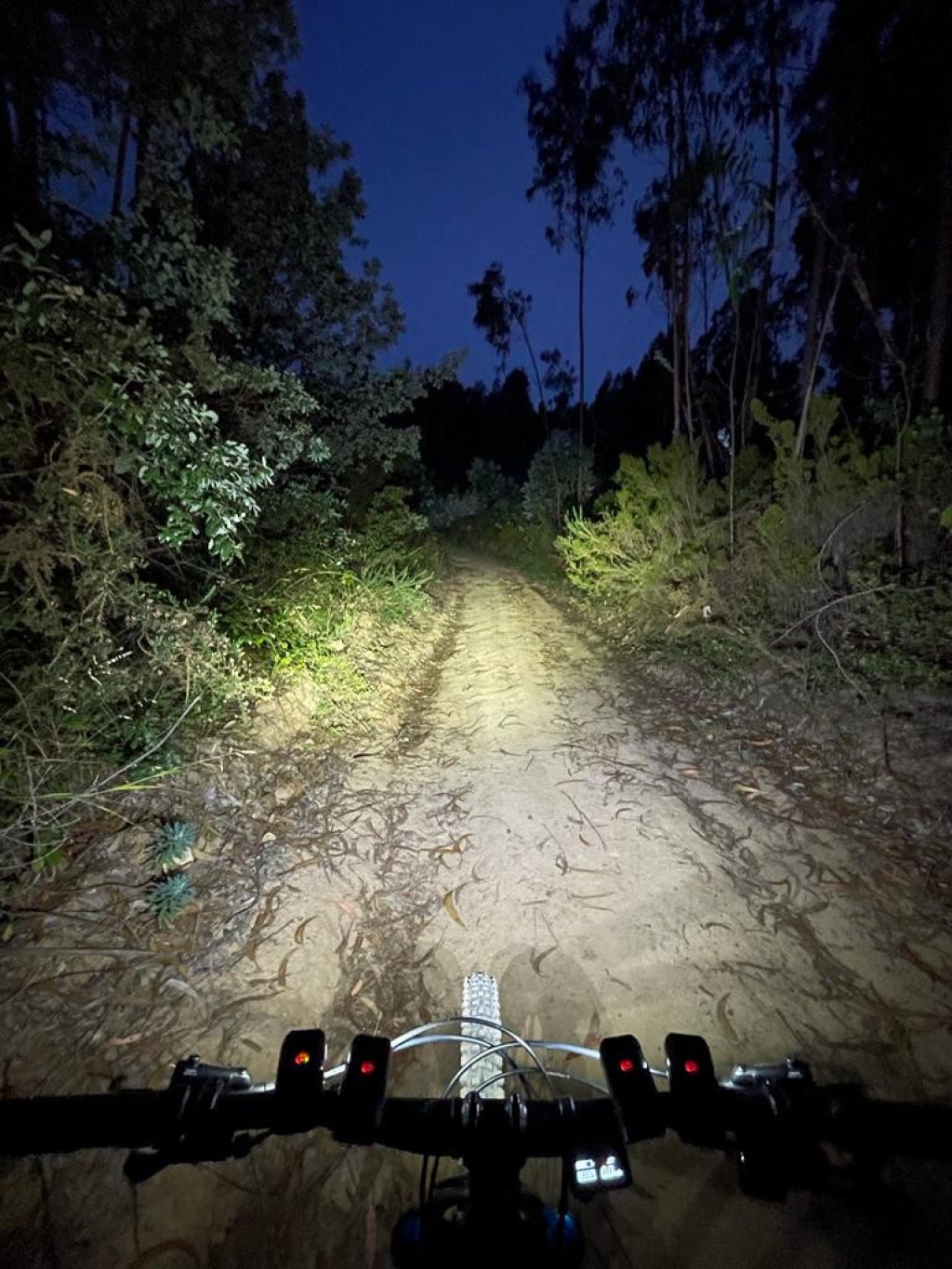 Nazaré Nacht-E-Bike-Tour: Sternenfahrt durch die Salgado-Hügel.