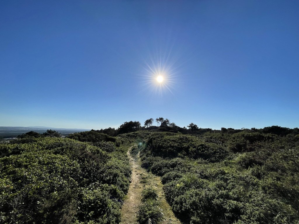 Bike + Gleitschirm Combo: E-Bike-Tour & Tandemflug ab Nazaré.