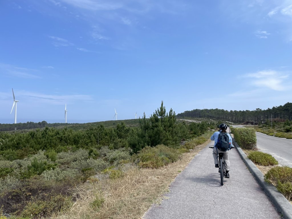 Wild Cliffs & Red Deer: Half-Day Nazaré North Coast E-Bike Tour.