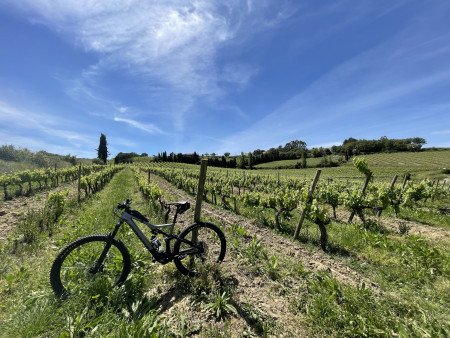 Monastery of Alcobaca, castle of Alcobaca, wine testing in Nazaré on Electric Bikes, MTB experience in Portugal, bike tour Portigal, bike rental Portugal, Nazare tour