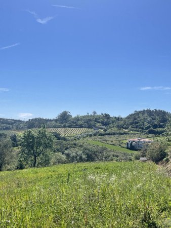 Monastery of Alcobaca, castle of Alcobaca, wine testing in Nazaré on Electric Bikes, MTB experience in Portugal, bike tour Portigal, bike rental Portugal, Nazare tour