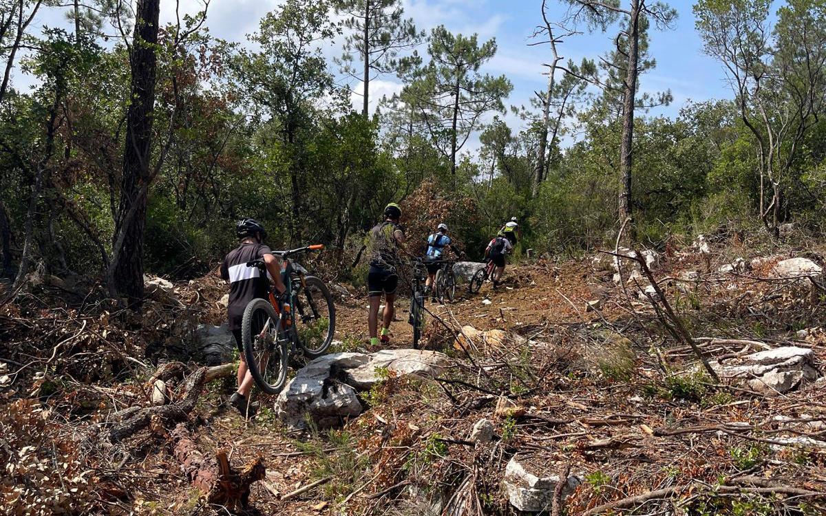 Irondeer bike tour